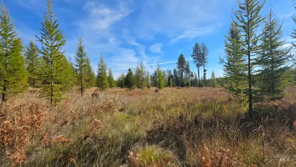 0 Timberline Heights, Parcel D, Weippe, ID 83553