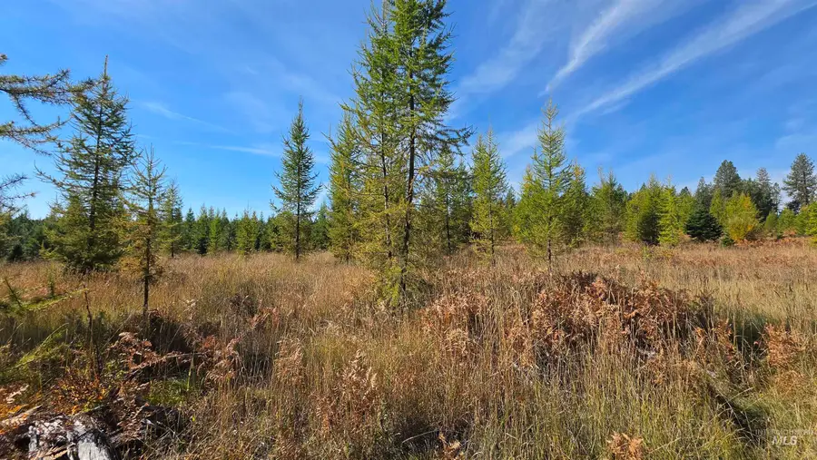 0 Timberline Heights, Parcel D, Weippe, ID 83553 - #2