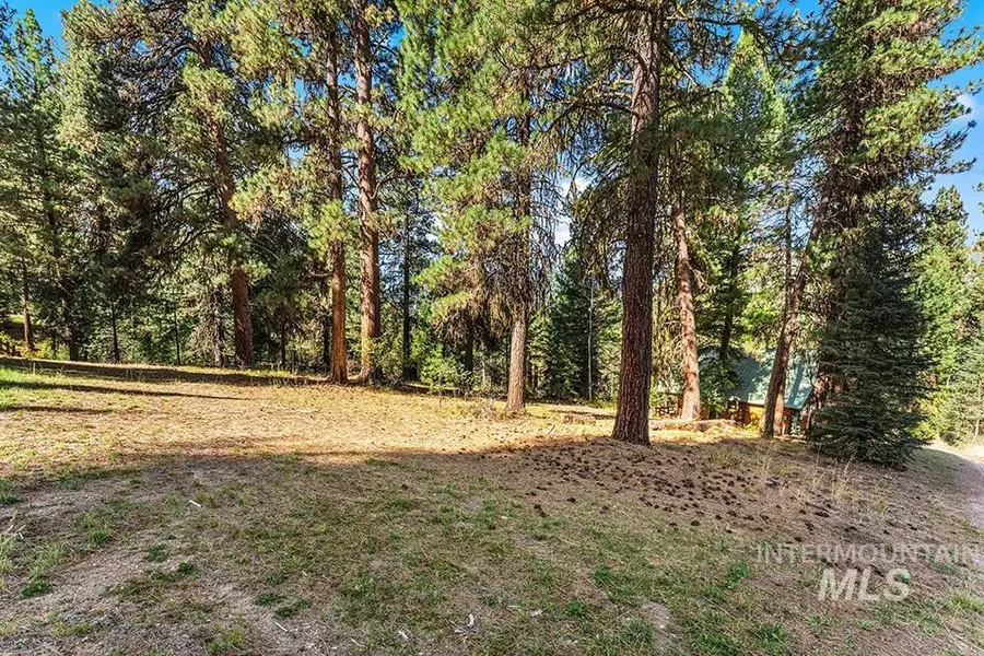 TBD Willow Dr, Lowman, ID 83637 - #3