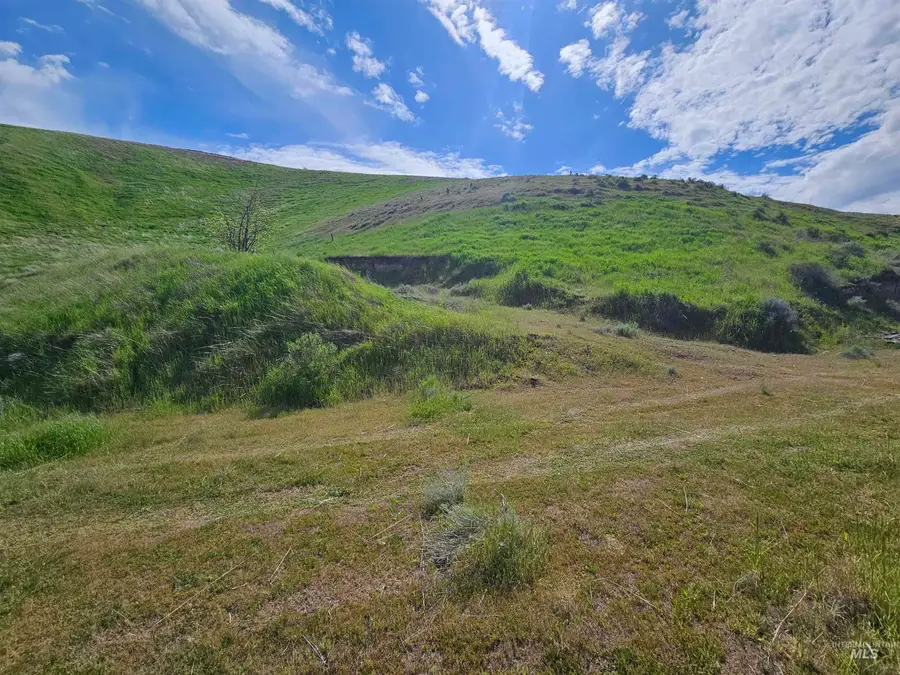 TBD Garfield St, Asotin, WA 99402 - #3