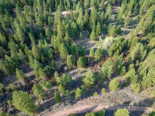 Lot 31 Trail Creek Ct, Placerville, ID 83666
