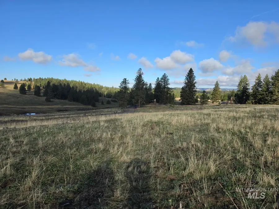 TBD Joseph Plains Rd, White Bird, ID 83554 - #2