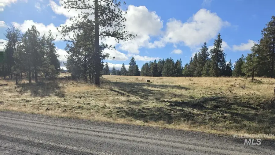 TBD Joseph Plains Rd, White Bird, ID 83554 - #3