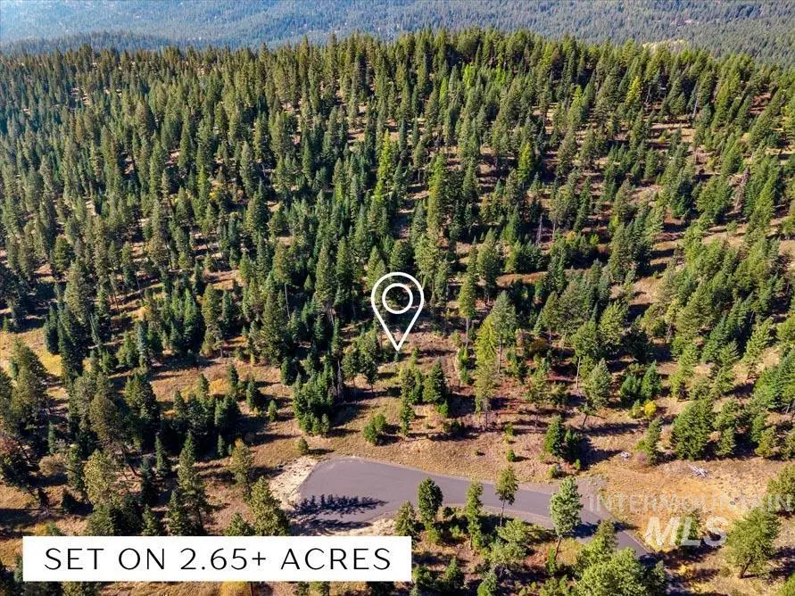 47 Bella View Dr, McCall, ID 83638 - #2