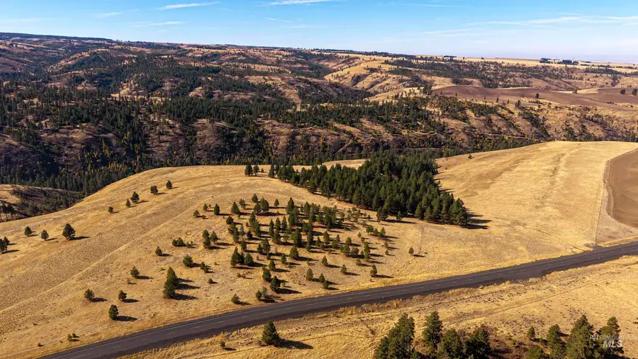 NKA Peola Road, Pomeroy, WA 99347 - #2
