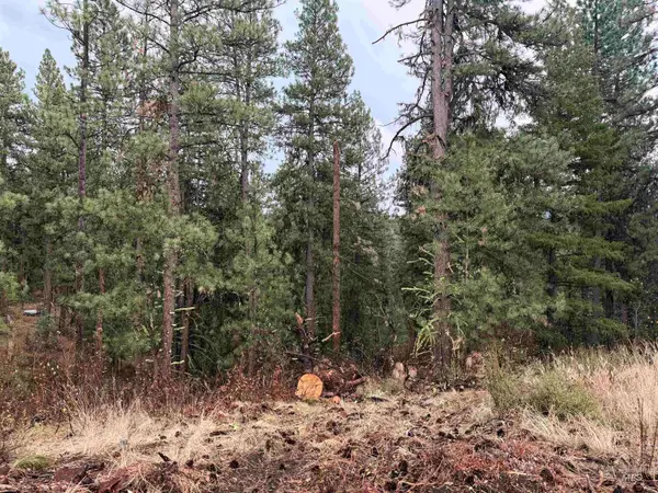 TBD Idaho City- Lot 24, Idaho City, ID 83631
