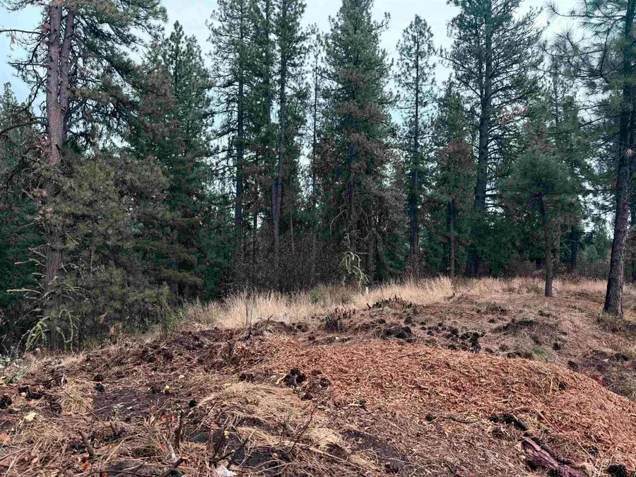 TBD Idaho City- Lot 24, Idaho City, ID 83631 - #3