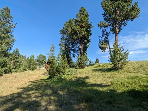 106 Saddle Court, McCall, ID 83638