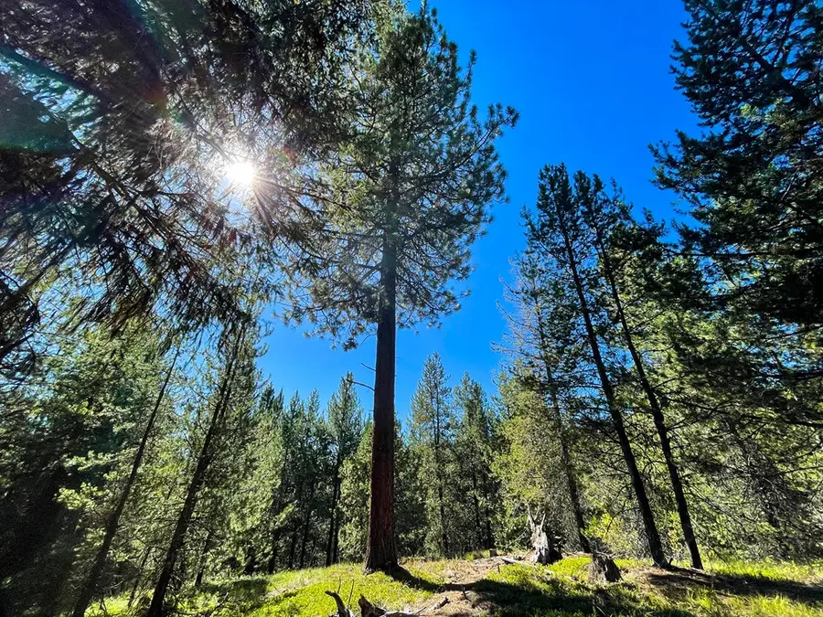 TBD 1-1 Horsethief Road, Cascade, ID 83611 - #3