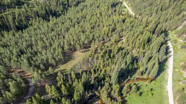 TBD 36 Clear Creek Road, Cascade, ID 83611