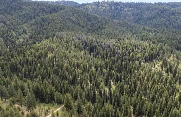 TBD 38 Clear Creek Road, Cascade, ID 83611
