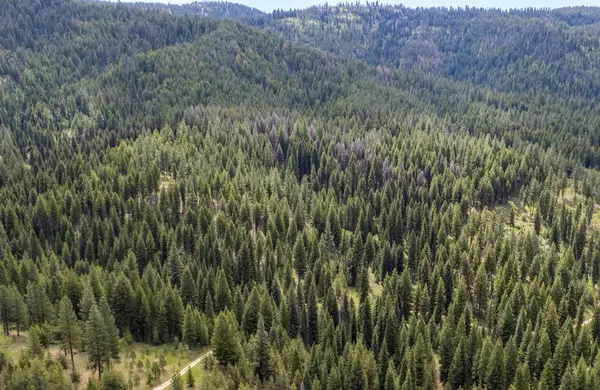 TBD 42 Clear Creek Road, Cascade, ID 83611