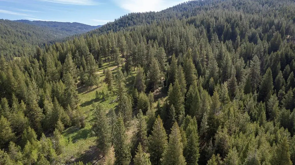 TBD 34 Clear Creek Road, Cascade, ID 83611 - #1