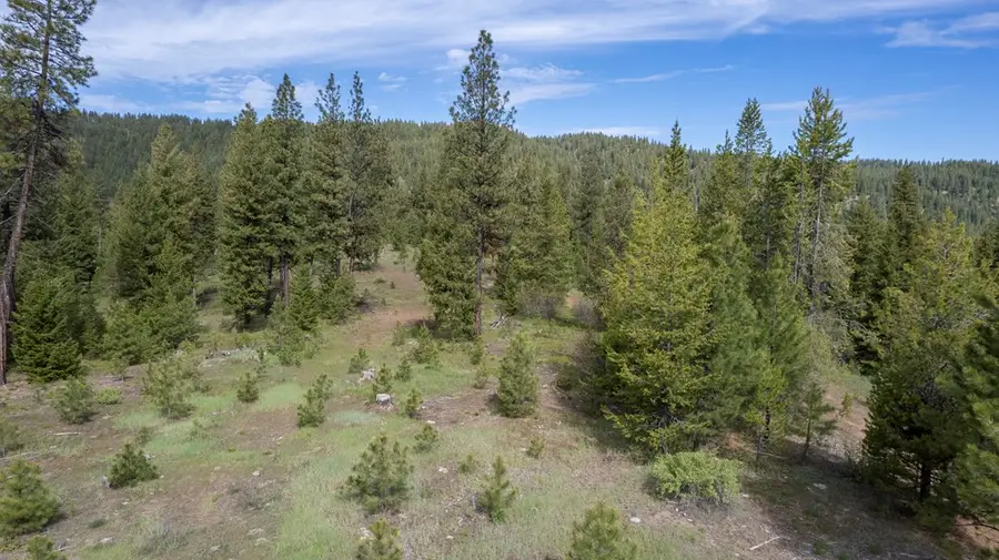 TBD 34 Clear Creek Road, Cascade, ID 83611 - #2