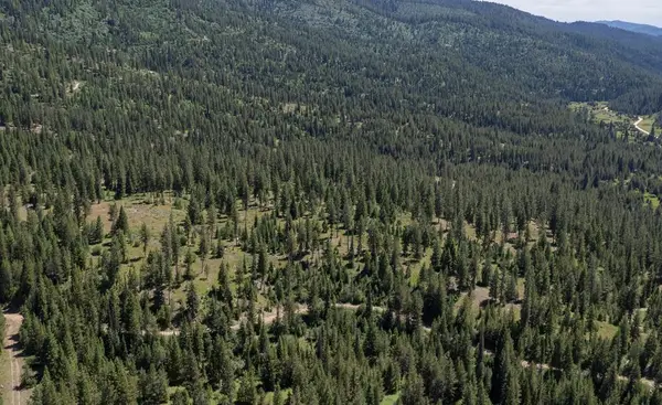 TBD 33 Clear Creek Road, Cascade, ID 83611