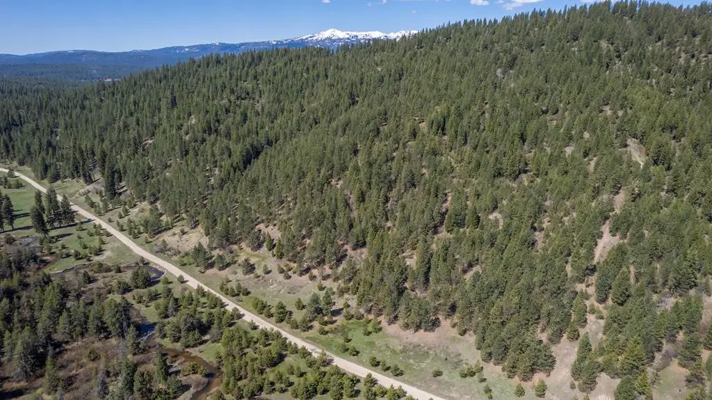 TBD 1 Clear Creek Road, Cascade, ID 83638 - #1