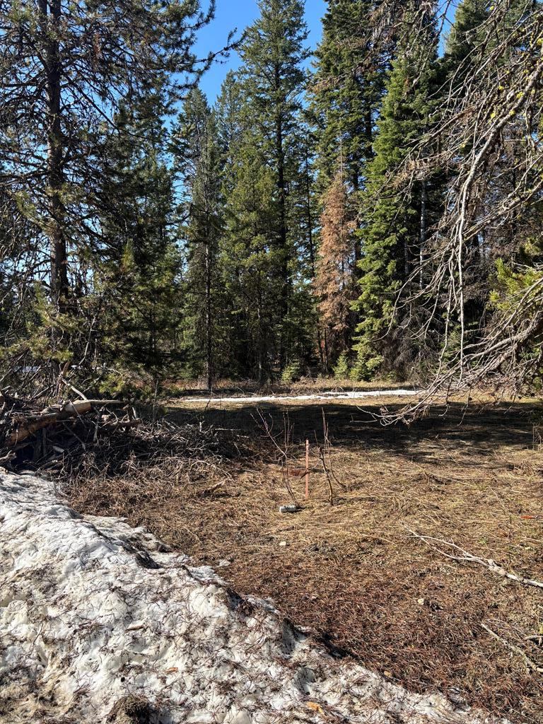 17 Royal Lane, Donnelly, ID 82615 - Image #1