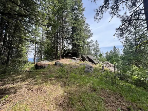 TBD Hilltop Road, Cascade, ID 83611