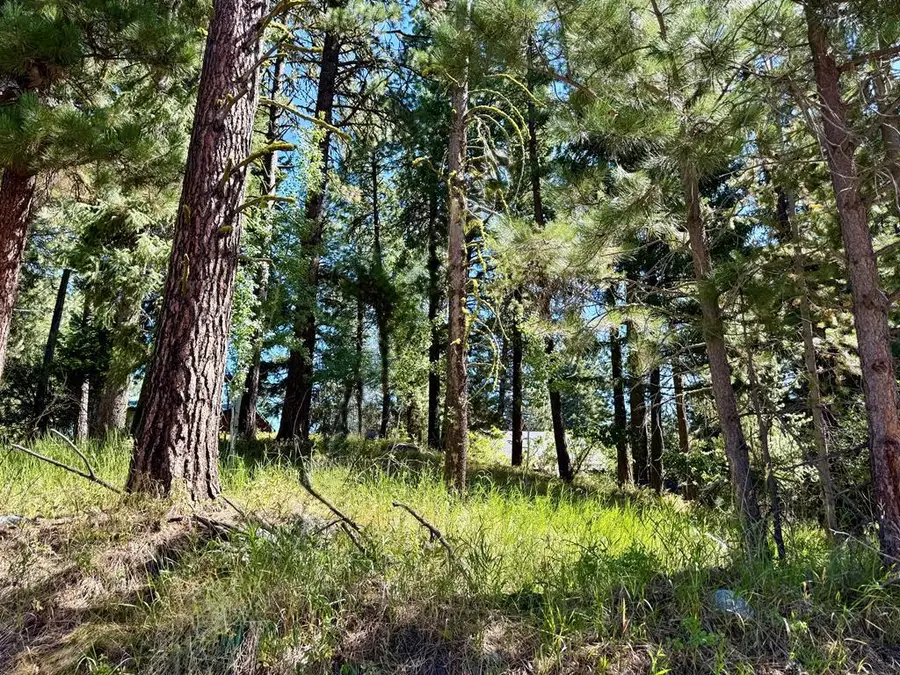 699 N Samson Trail, McCall, ID 83638 - #2