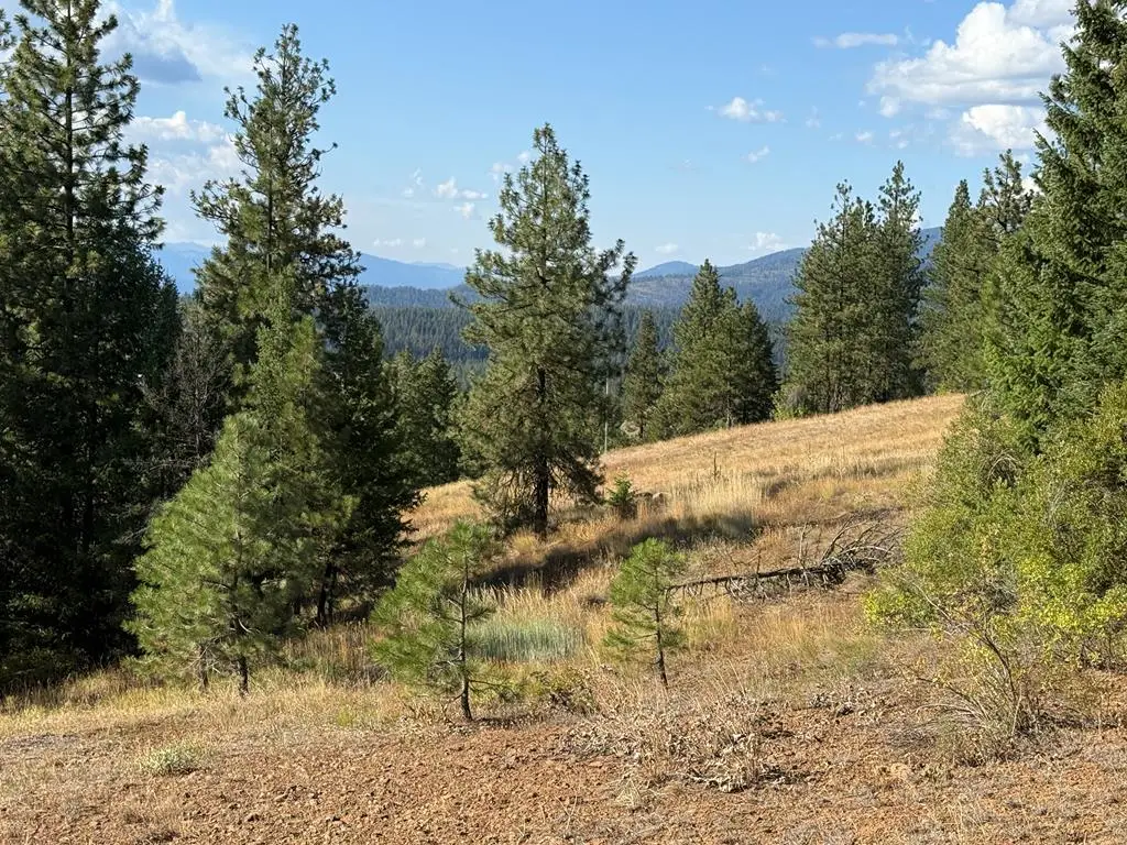 Lot 18 Harrington Place, McCall, ID 83638 - Image #1
