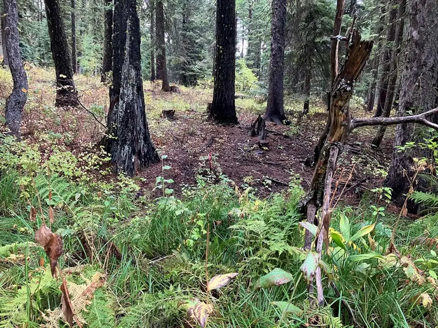 1790 Lark Trail, Donnelly, ID 83615 - Image #2