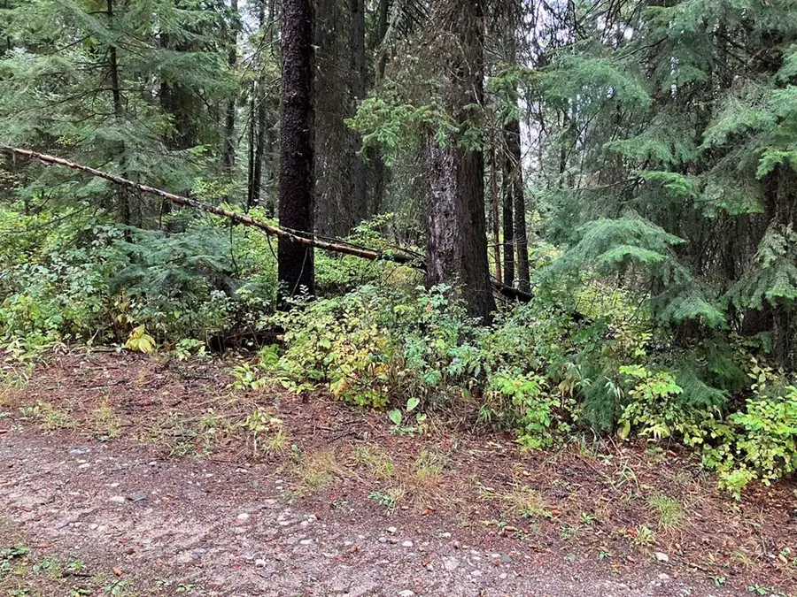 1790 Lark Trail, Donnelly, ID 83615 - Image #3