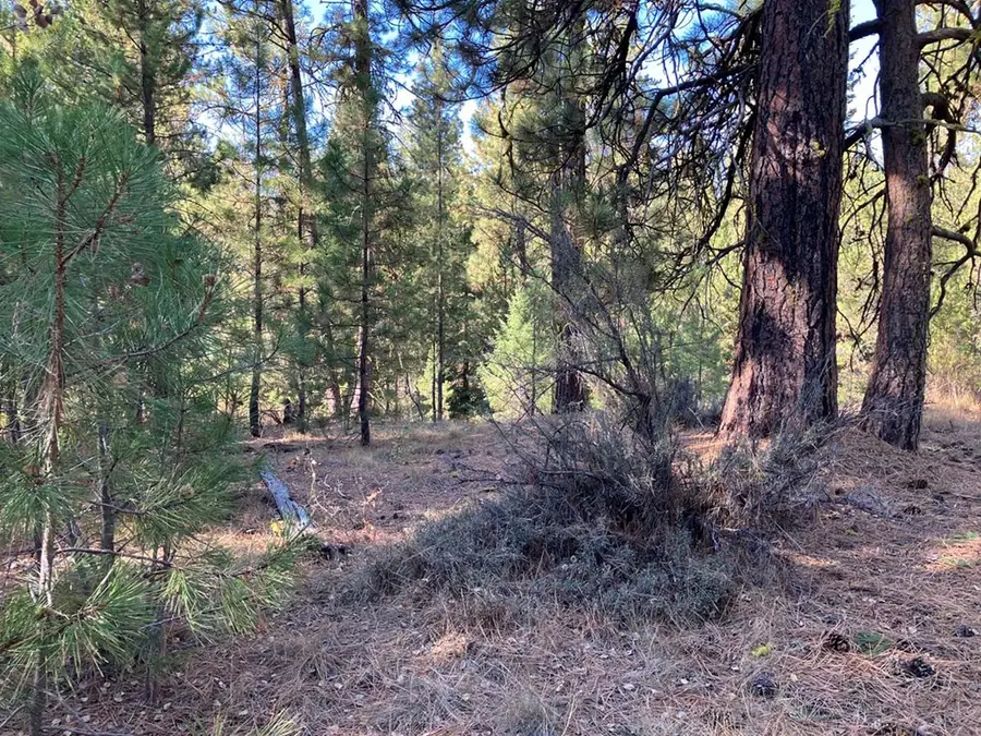 1484 Alberta Court, Cascade, ID 83611 - Image #2