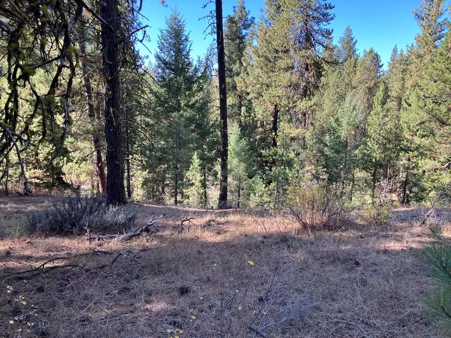 1484 Alberta Court, Cascade, ID 83611 - Image #3