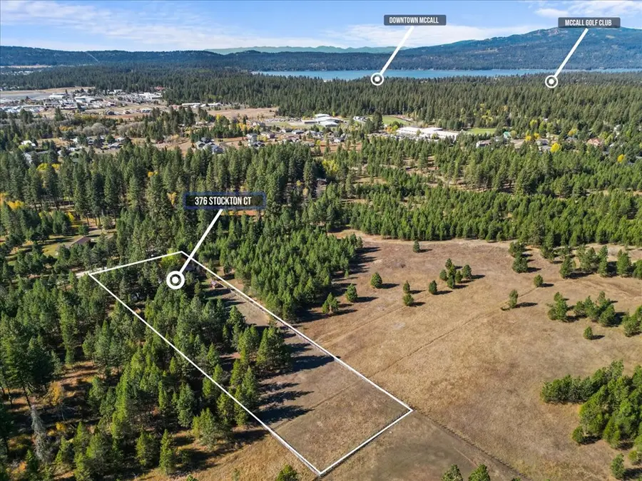 376 Stockton Court, McCall, ID 83638 - #3