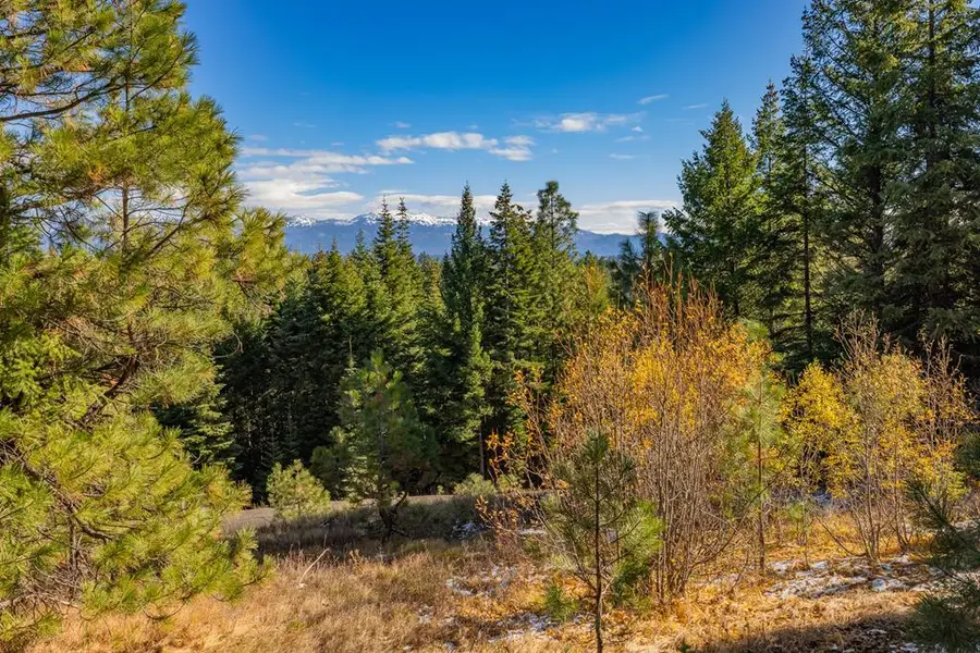 4333 Song Sparrow Court, McCall, ID 83638 - Image #3