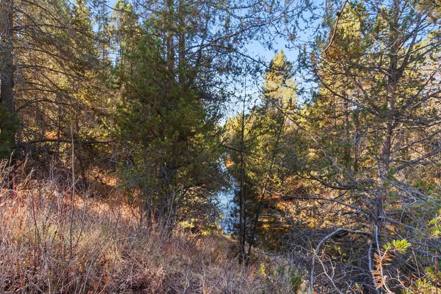 31 Miners Court, Cascade, ID 83611 - Image #2