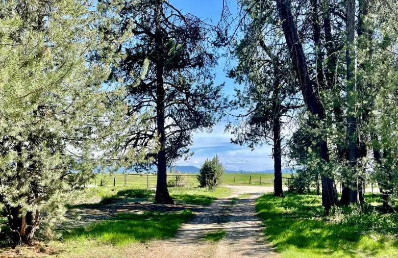 Lot 9 River Run Lane, McCall, ID 83638 - Image #2