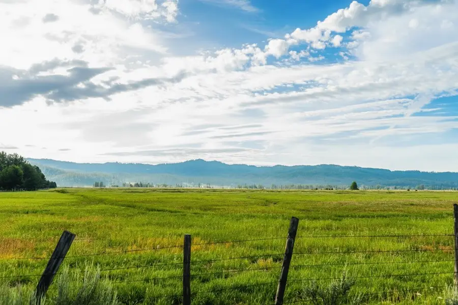 TBD Meadow View Lane, McCall, ID 83638 - Image #3