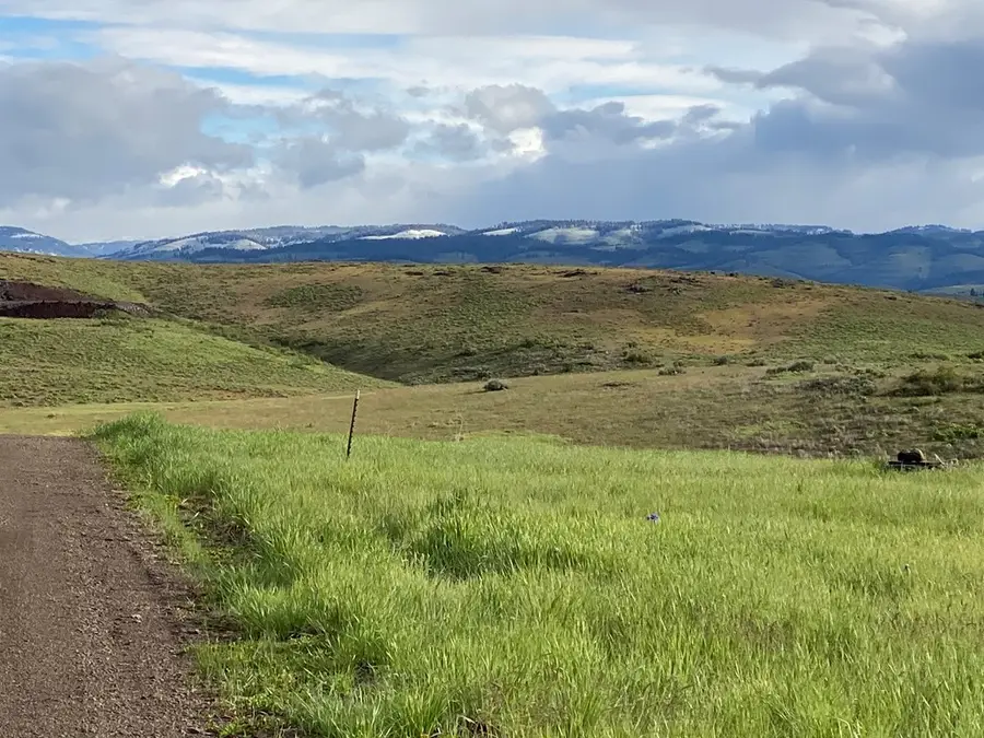55 Acres Deer Loop Road, Council, ID 83612 - Image #3