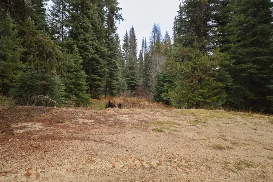 TBD No Business Road, Donnelly, ID 83615 - Image #3