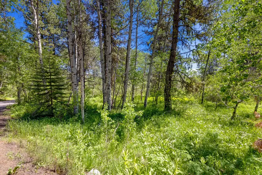 1125 Meadows Road, McCall, ID 83638 - Image #3