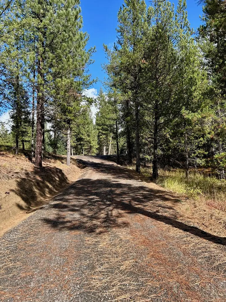 50 Sawtooth Loop, Cascade, ID 83611 - Image #2