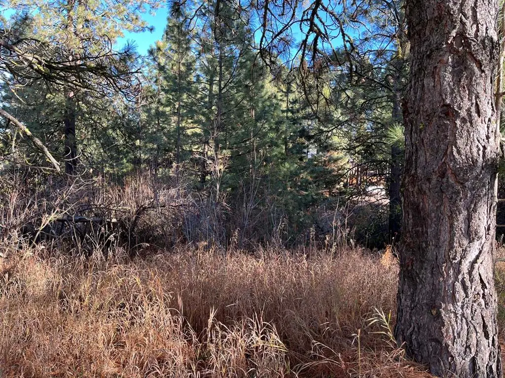 L129 Par Drive, Cascade, ID 83611 - Image #1