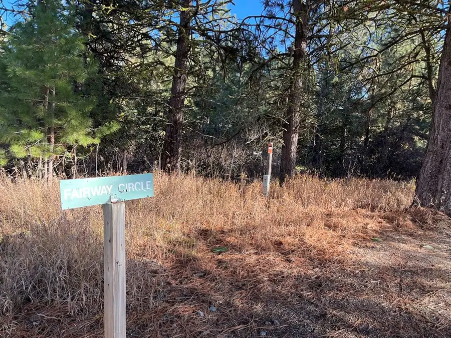 L129 Par Drive, Cascade, ID 83611 - Image #2