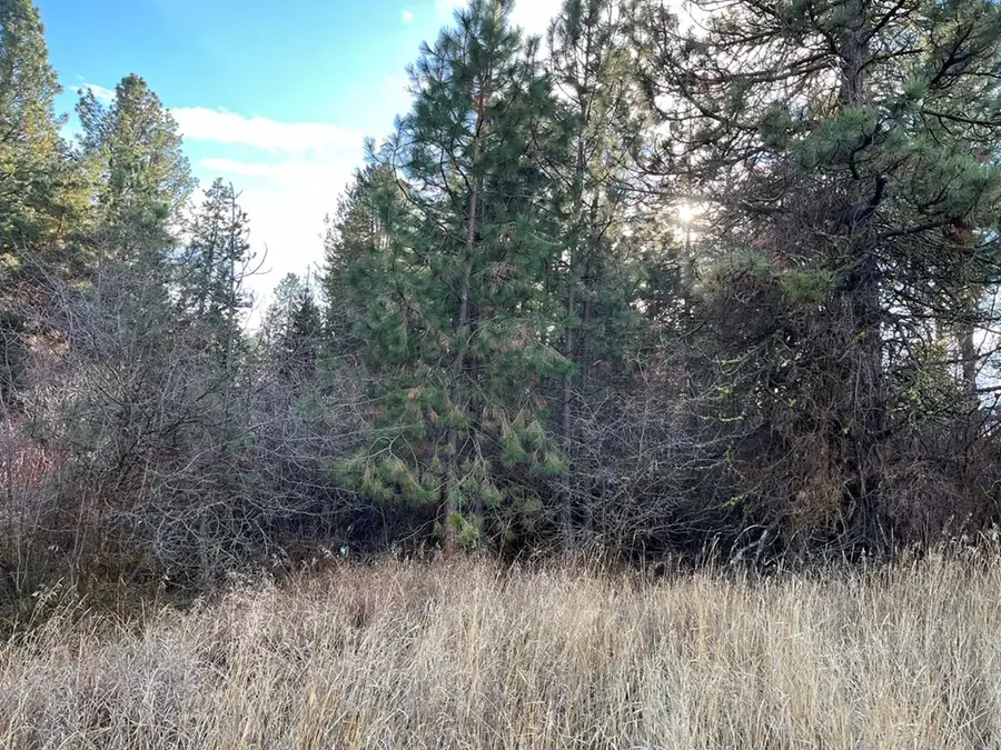 L129 Par Drive, Cascade, ID 83611 - Image #3