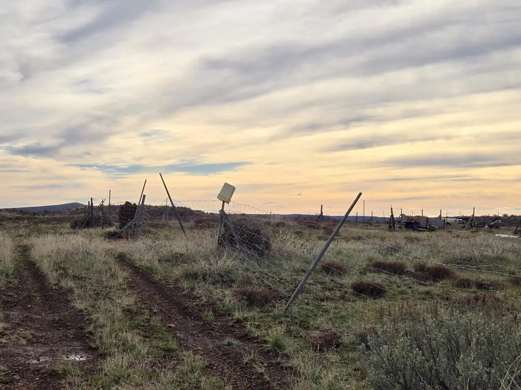 TBD Usher Court, Council, ID 83612 - Image #1