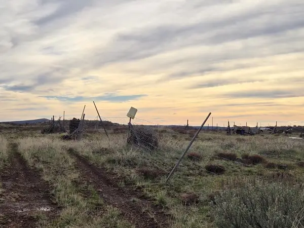 TBD Usher Court, Council, ID 83612