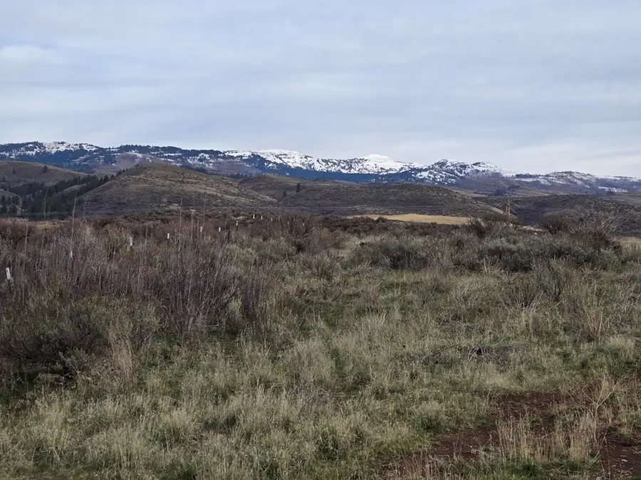 TBD Usher Court, Council, ID 83612 - Image #2