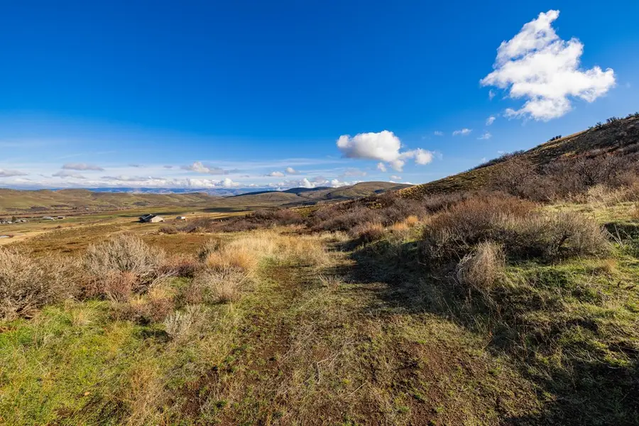 TBD Goodrich Road, Council, ID 83612 - Image #3