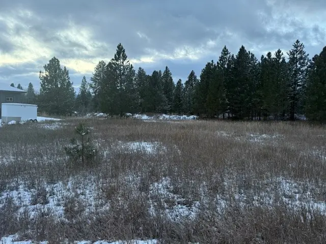 162 Fox Lane, McCall, ID 83638 - Image #2