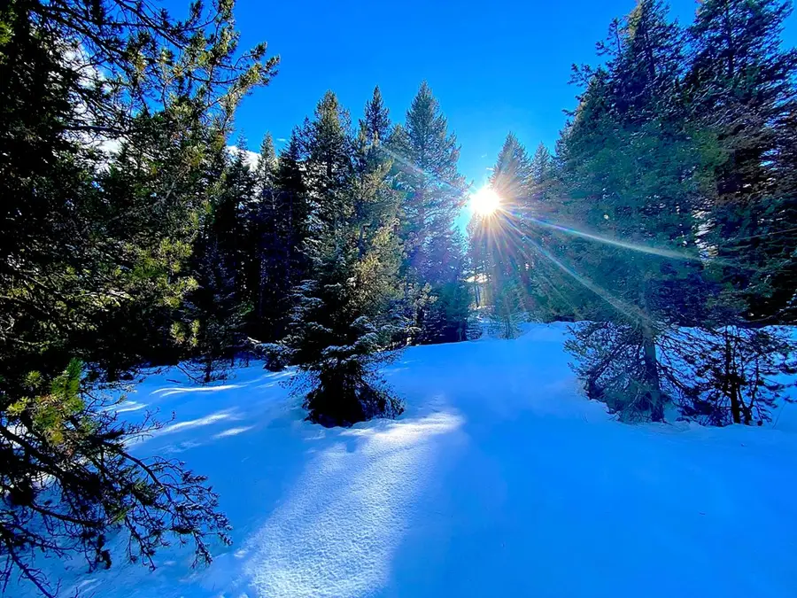 19 Royal Lane, Donnelly, ID 83615 - Image #2