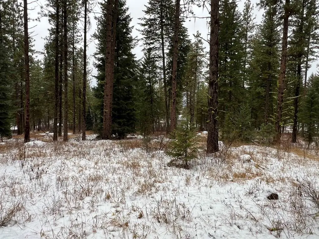 TBD S Samson Trail, McCall, ID 83638 - Image #1