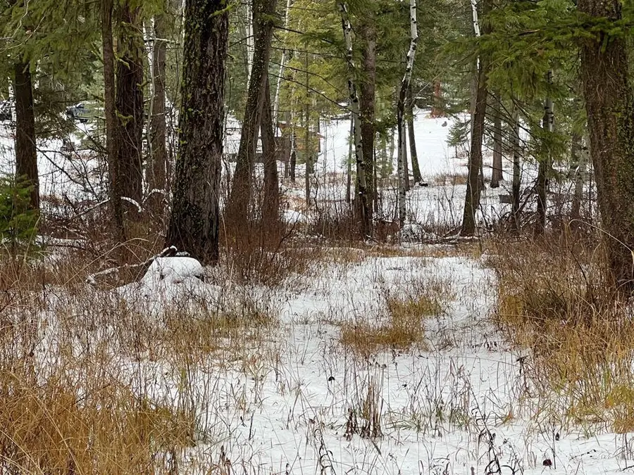 TBD S Samson Trail, McCall, ID 83638 - Image #2