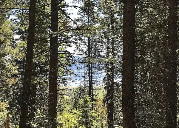 66 Hillside Trail, Donnelly, ID 83615