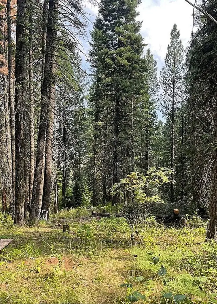 66 Hillside Trail, Donnelly, ID 83615 - Image #2